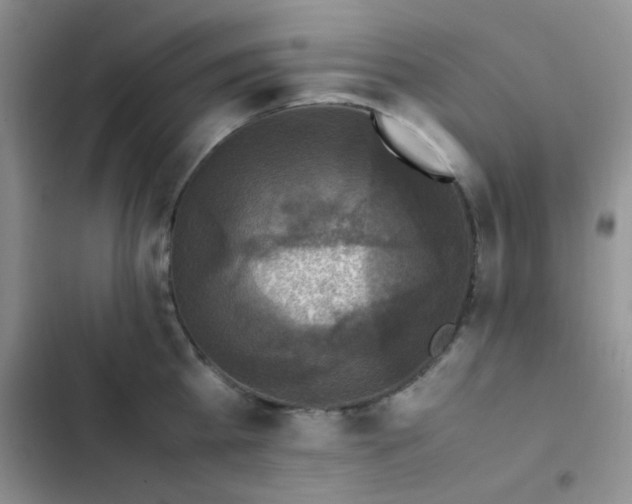 X0000102860809200808181439