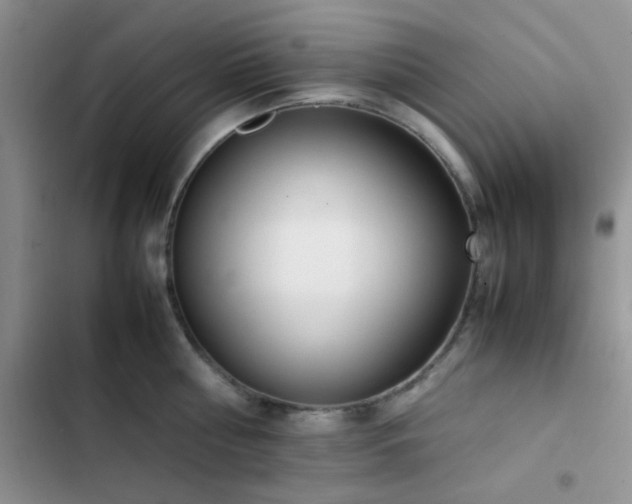 X0000102860810200808181439