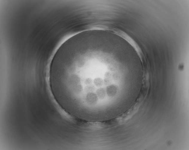 X0000102860811200808181439