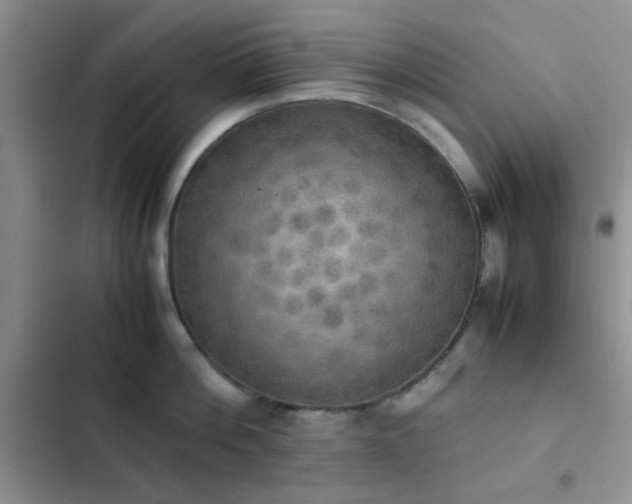 X0000102860812200808181439