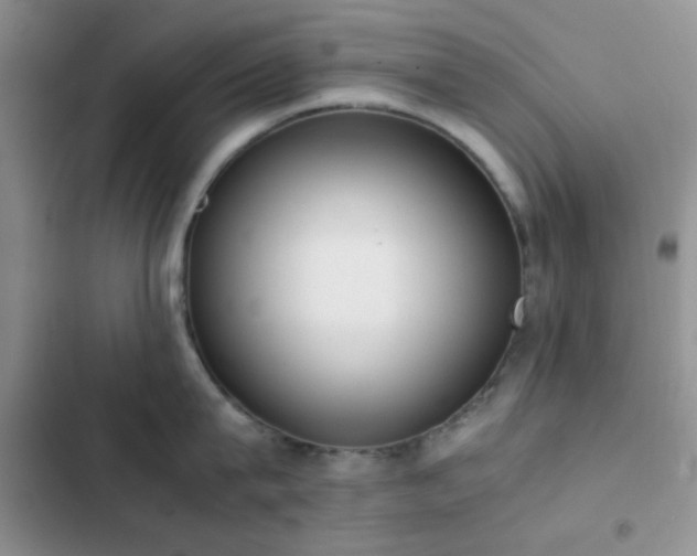 X0000102860815200808181439