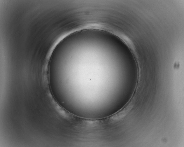 X0000102860816200808181439