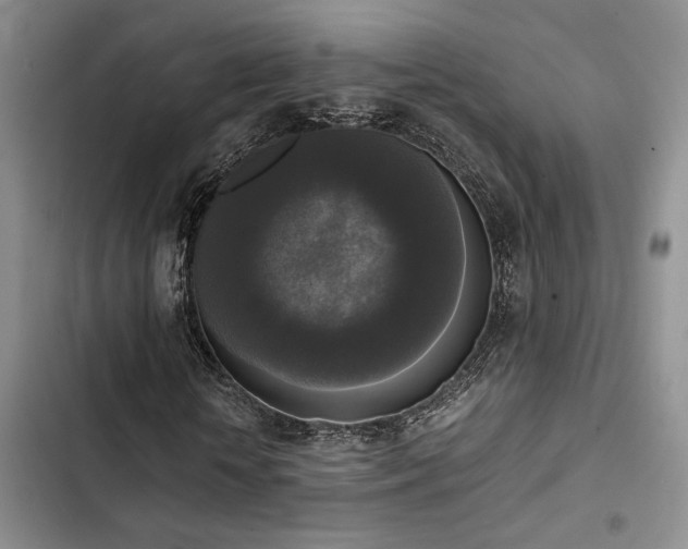 X0000102860818200808181439