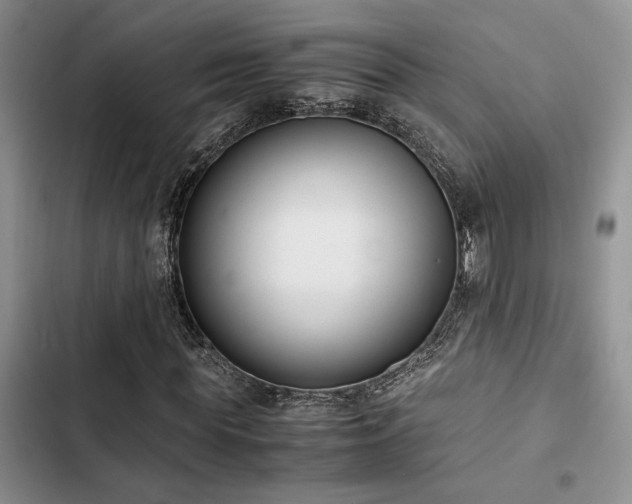 X0000102860819200808181439