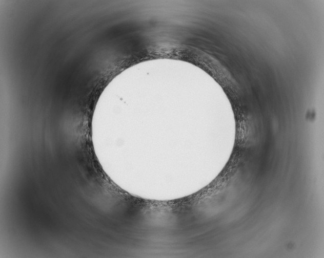 X0000102860820200808181439