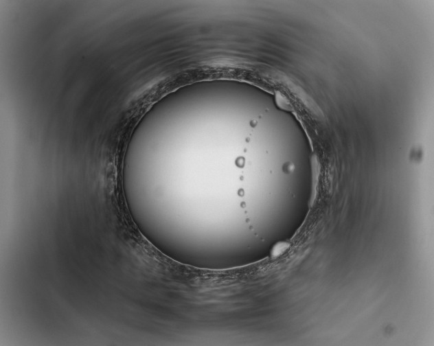 X0000102860821200808181439