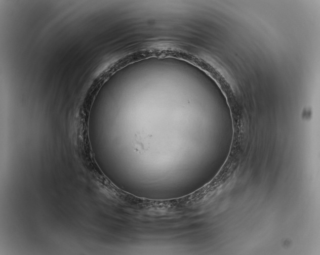 X0000102860823200808181439