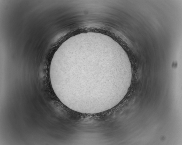 X0000102860824200808181439