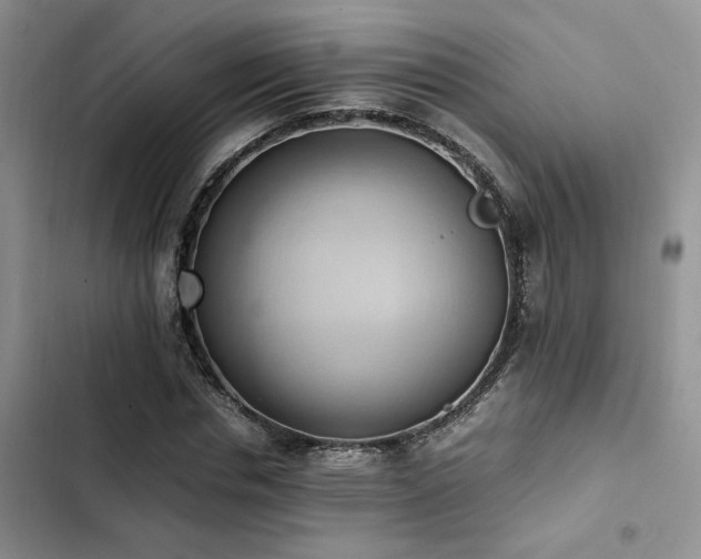 X0000102860826200808181439