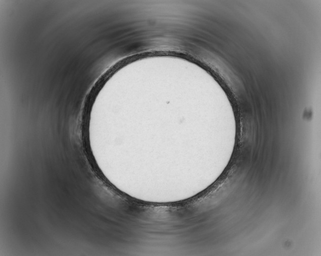 X0000102860828200808181439