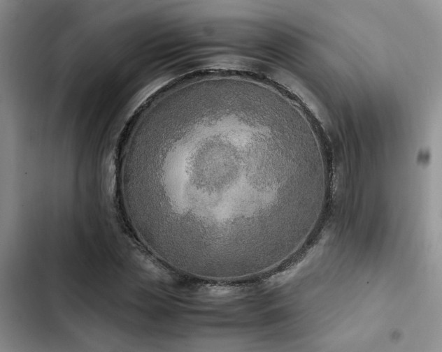 X0000102860829200808181439