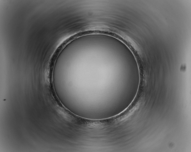 X0000102860830200808181439