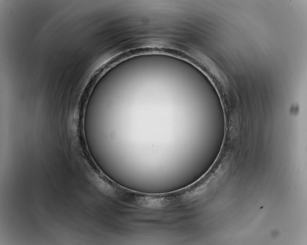 X0000102860831200808181439