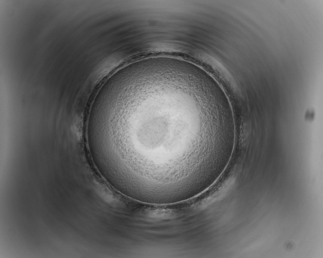 X0000102860833200808181439