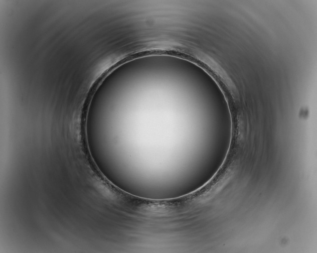 X0000102860834200808181439