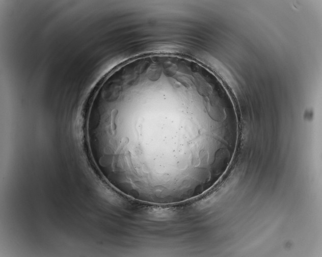 X0000102860835200808181439