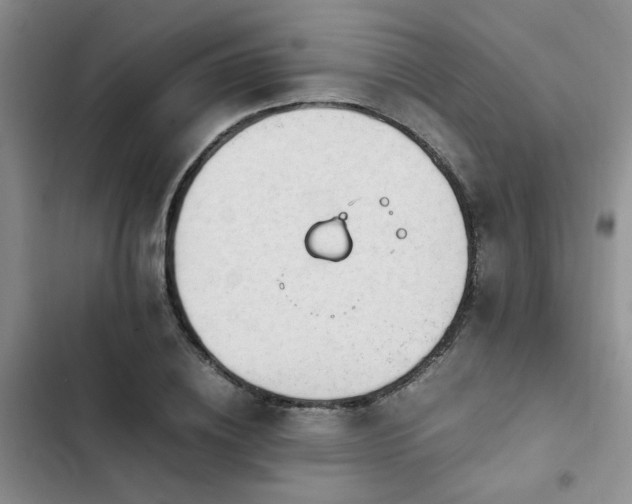 X0000102860836200808181439