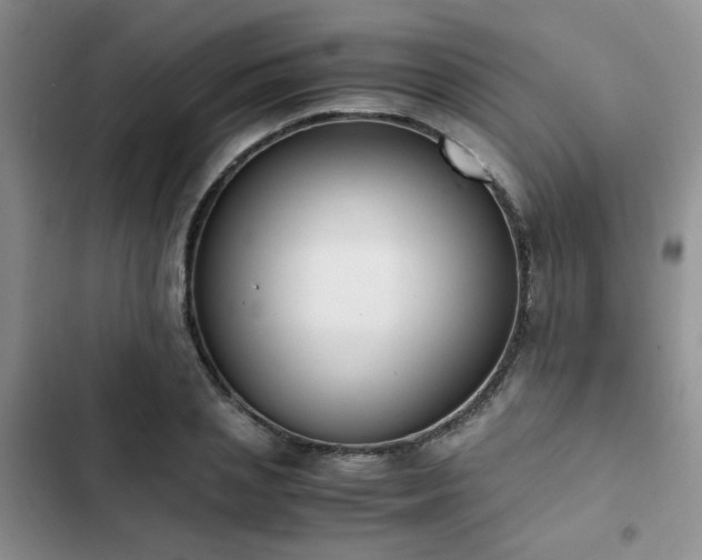 X0000102860837200808181439