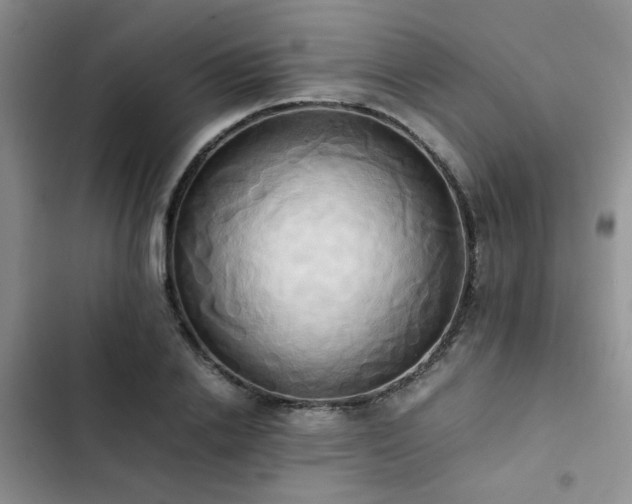 X0000102860838200808181439