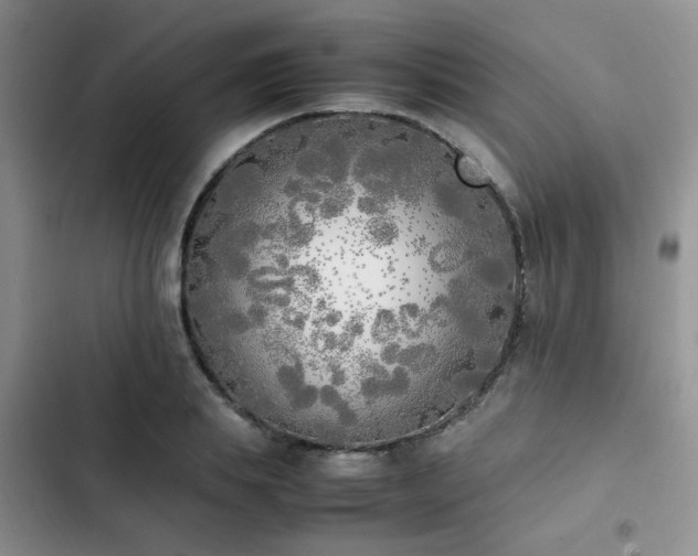 X0000102860839200808181439