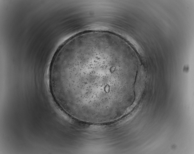 X0000102860840200808181439