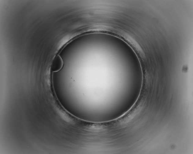 X0000102860842200808181439