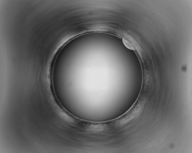 X0000102860843200808181439