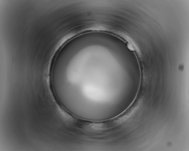 X0000102860845200808181439