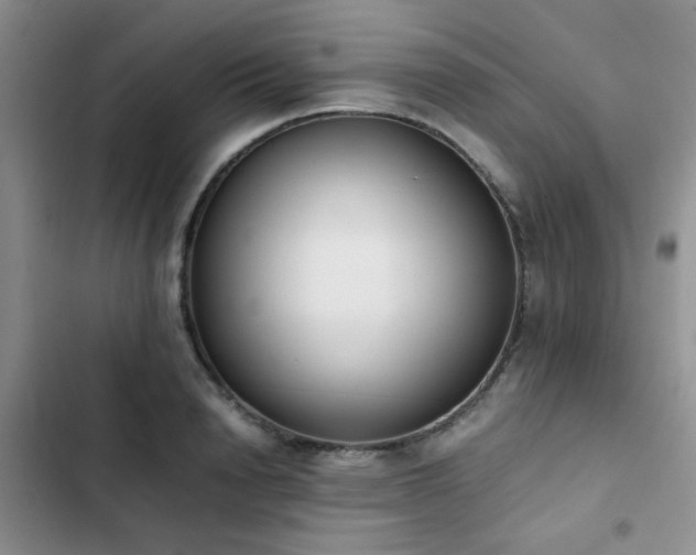 X0000102860846200808181439