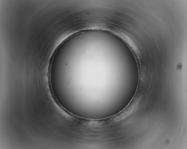 X0000102860847200808181439