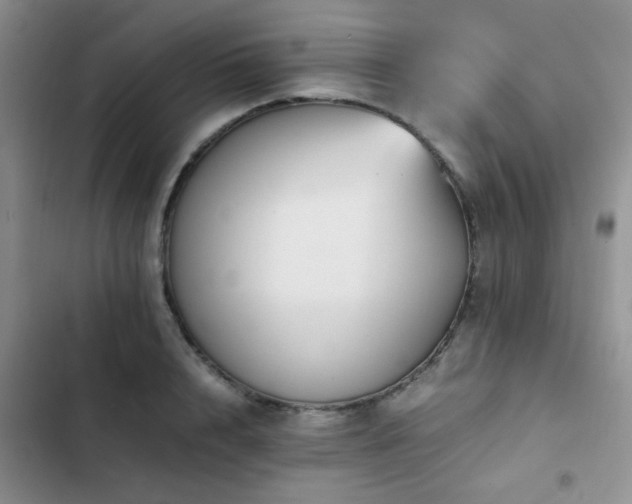 X0000102860848200808181439