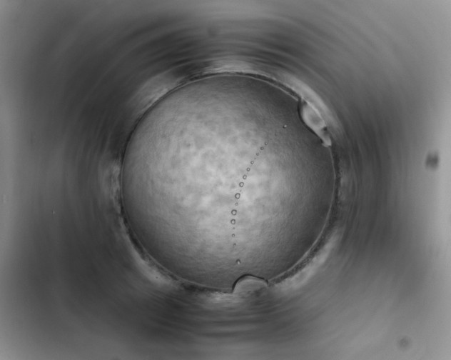 X0000102860849200808181439