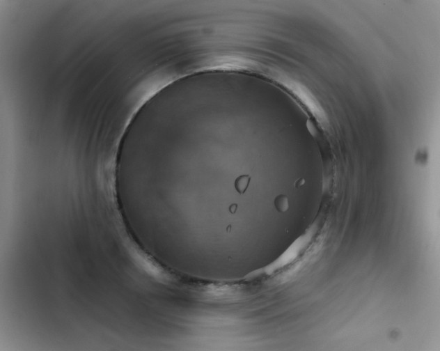 X0000102860850200808181439