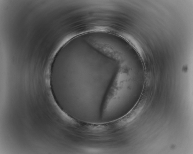 X0000102860851200808181439