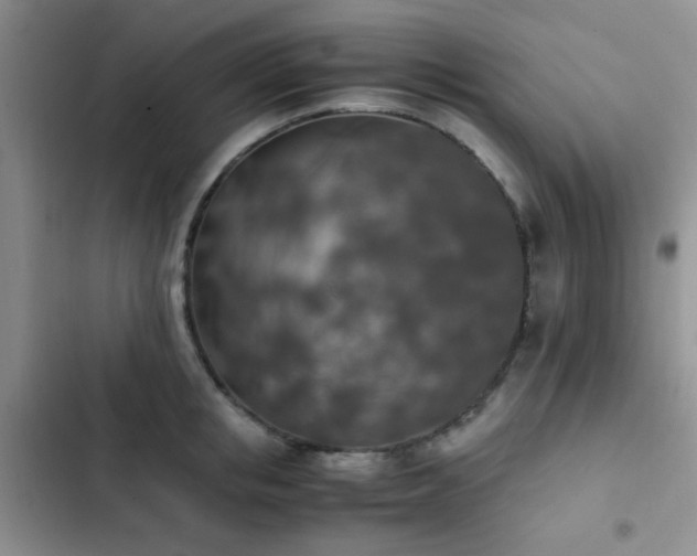 X0000102860853200808181439