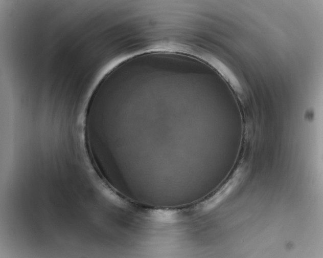 X0000102860854200808181439