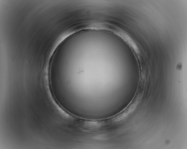 X0000102860855200808181439