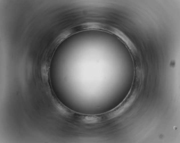 X0000102860857200808181439