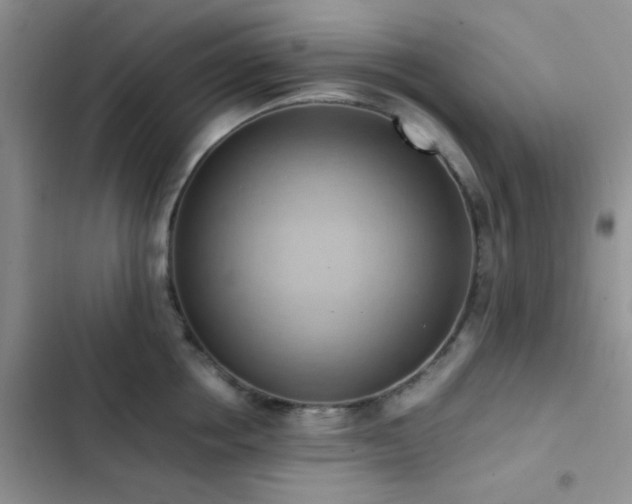 X0000102860858200808181439