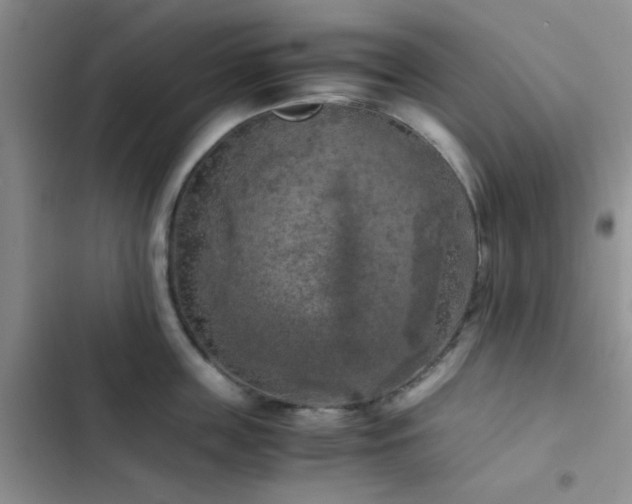 X0000102860859200808181439