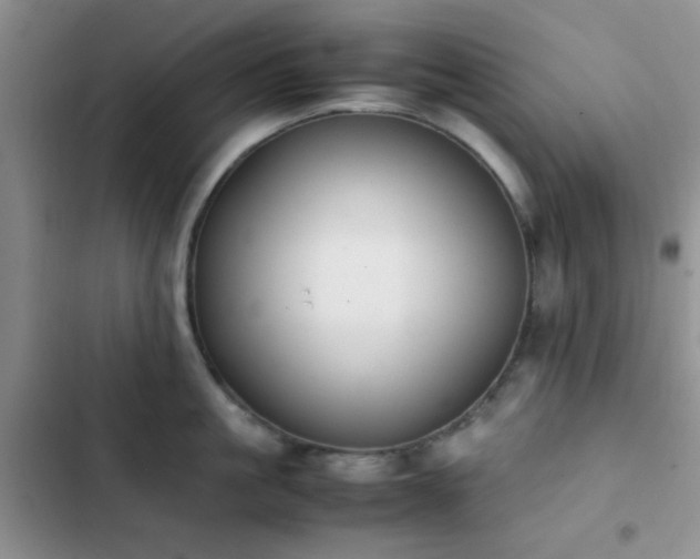 X0000102860861200808181439