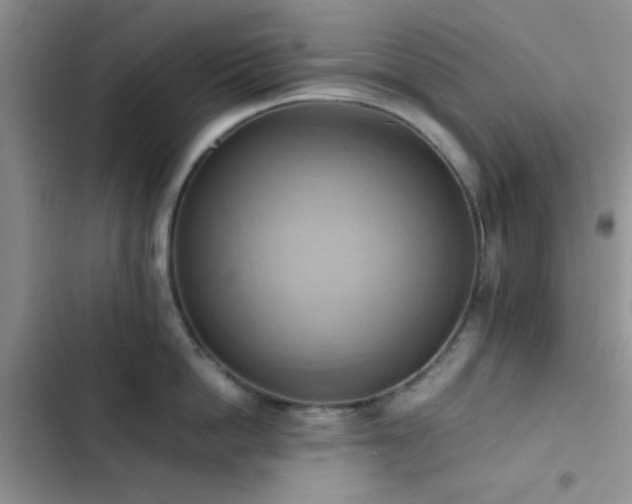 X0000102860862200808181439