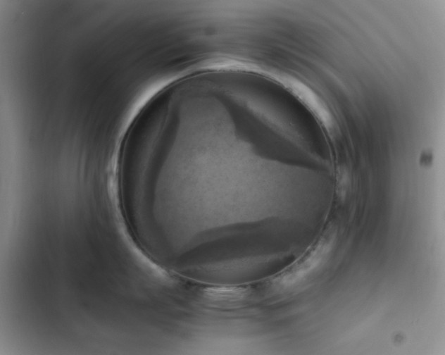 X0000102860863200808181439