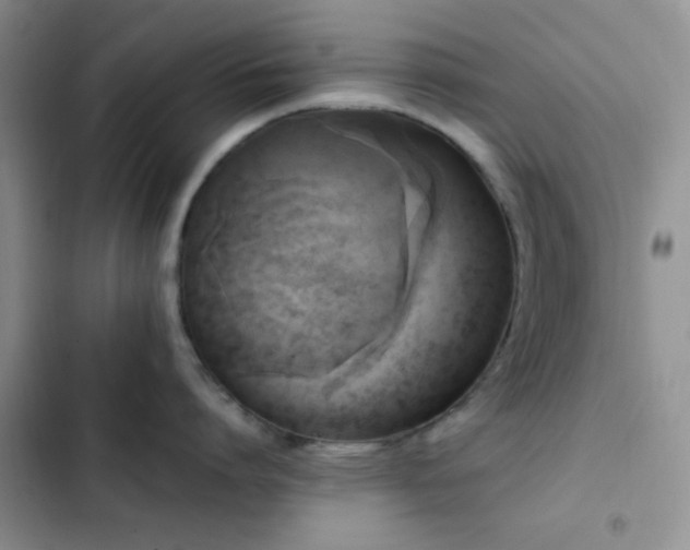 X0000102860864200808181439