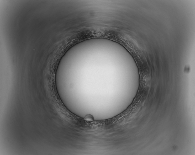 X0000102860865200808181439