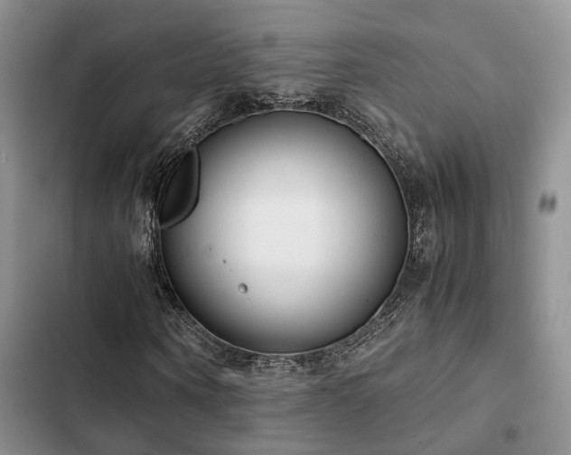 X0000102860866200808181439