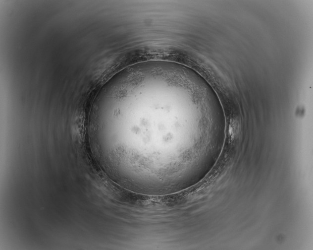 X0000102860867200808181439