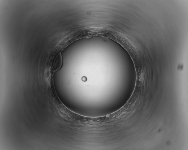 X0000102860868200808181439