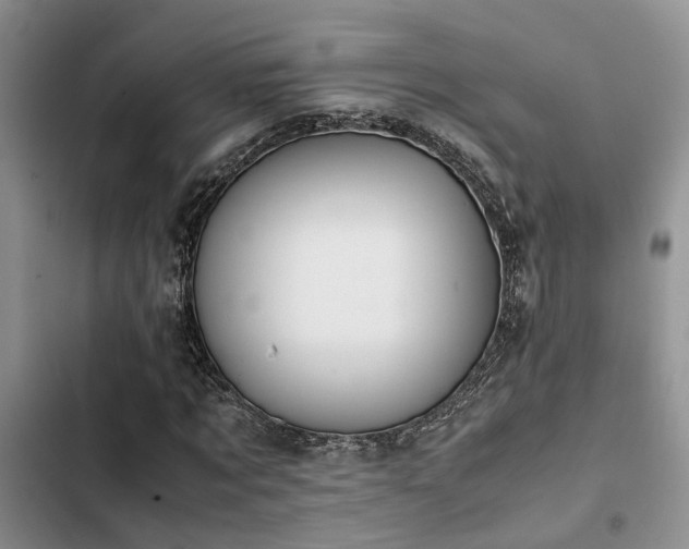 X0000102860869200808181439