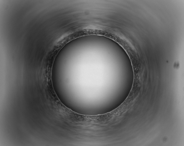 X0000102860870200808181439